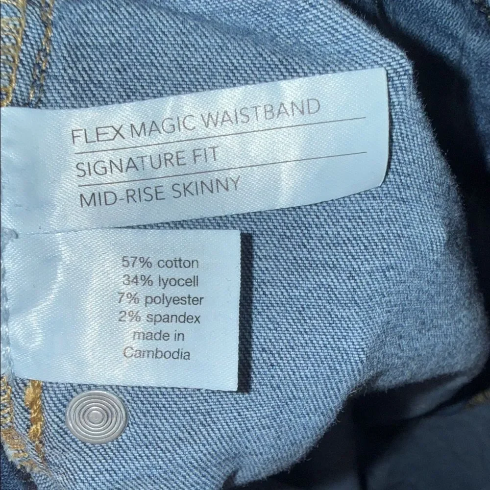 Lane Bryant Classic Blue Denim Jeans